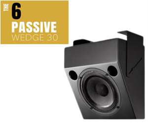 ASCENDO AIA The 6 Passive Wedge 30 /Stück