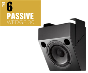 ASCENDO AIA The 6 Passive Wedge 30 /Stück