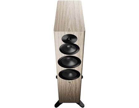DynAudio Focus 50 /Paar