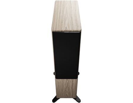 DynAudio Focus 50 /Paar