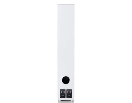 Canton GLE 90 AR /STÜCK