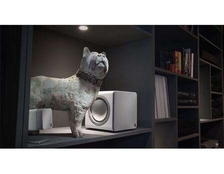 Cambridge Audio MINX X201 Aussteller