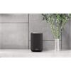 Denon HOME 150