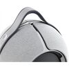 Devialet Mania