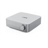 WiiM Amp