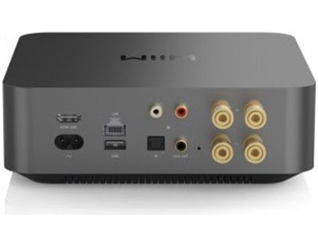 WiiM Amp Pro Steamer space grey Rückseite