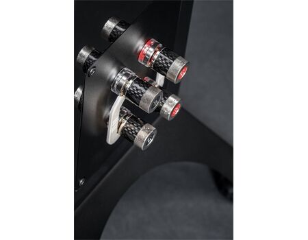 ELAC Concentro S 509.2 Schwarz Anschlüsse