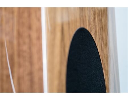 ELAC Concentro S 509.2 Holzoptik Walnut