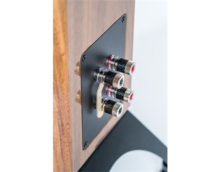 ELAC Concentro S 509.2 Seitenansicht Walnut Anschlüsse