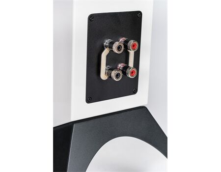 ELAC Concentro S 509.2 Passive Standlautsprecher weiß Seitenansicht Anschlüsse