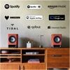 Technics SC-CX700E-T Wireless Hifi Speaker System