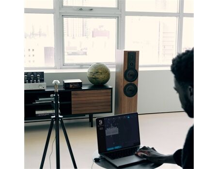 Bluesound Raumkalibrierungskit - direktionales Mikrofon