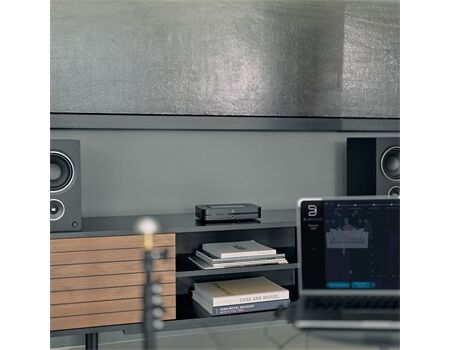 Bluesound Raumkalibrierungskit - direktionales Mikrofon