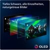 Philips 55OLED849/12