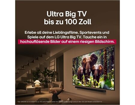 LG 100QNED86A6