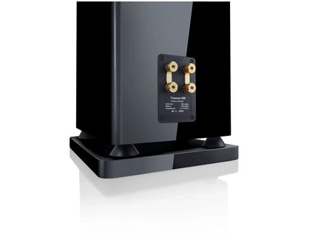 Canton TOWNUS 100 /STÜCK