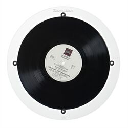 Degritter 10 inch record adapter