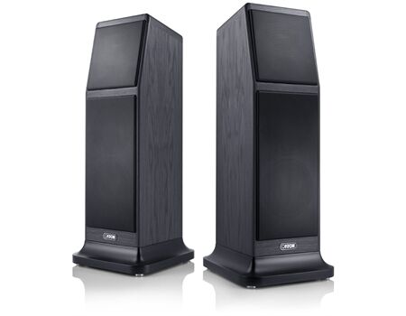 Canton ERGO GS /STÜCK B-WARE