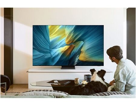 Samsung GQ55S95FAT
