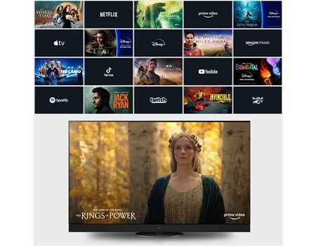 Panasonic TV-85W95BEG