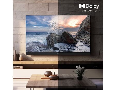 Panasonic TV-85W95BEG