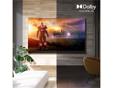 Panasonic TV-85W95BEG