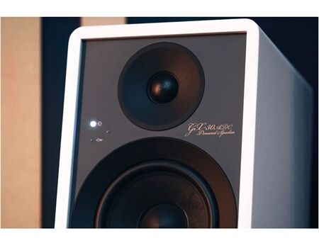 Onkyo GX-30ARC /Paar