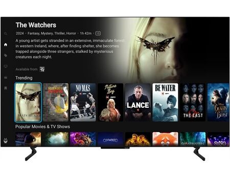 Panasonic TB-65Z60AEG