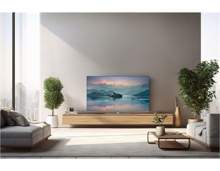 Panasonic TB-65W63AE8