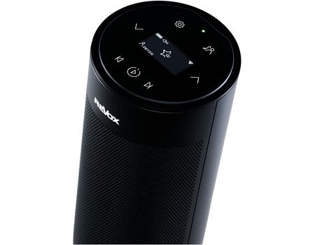 ReVox STUDIOMASTER A200 Room Speaker