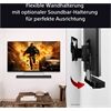 Sony K65XR90PAEP Bravia9 Aussteller