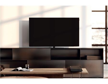 Loewe We. SEE 42 oled dc