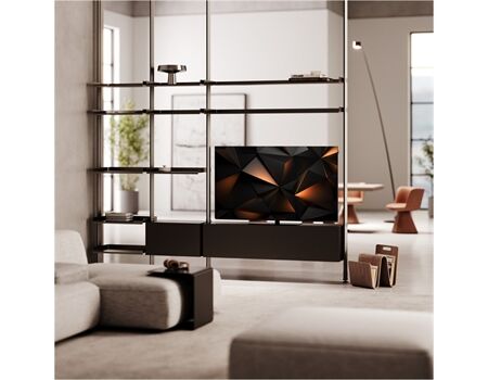 Loewe We. SEE 48 oled dc