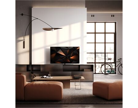 Loewe We. SEE 55 oled dc