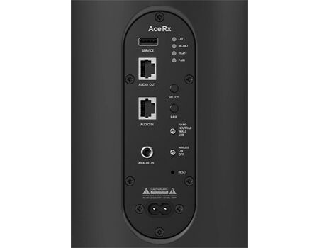 Piega Ace 50 Wireless Rx /Stück