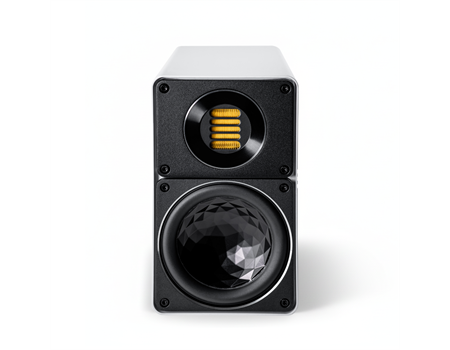 ELAC Elegant BS 312.2 /Stück