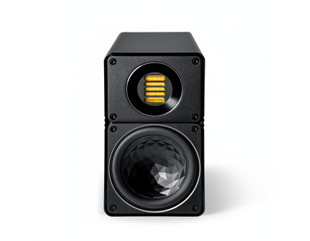 ELAC Elegant BS 312.2 /Stück