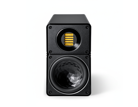 ELAC Elegant BS 312.2 /Stück