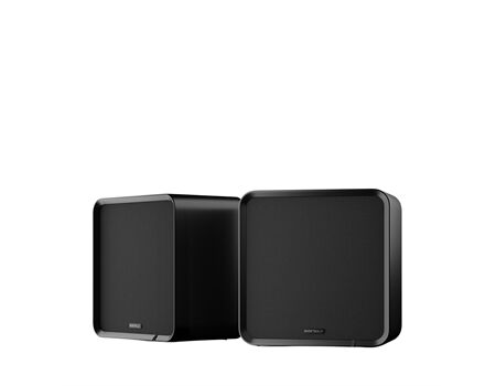 Eversolo SE100 /Paar