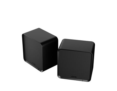 Eversolo SE100 /Paar