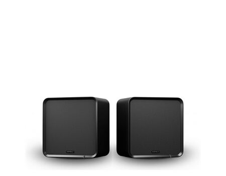 Eversolo SE100 /Paar