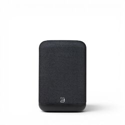 Bluesound Pulse Flex (P130)