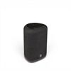 Bluesound Pulse Flex (P130)