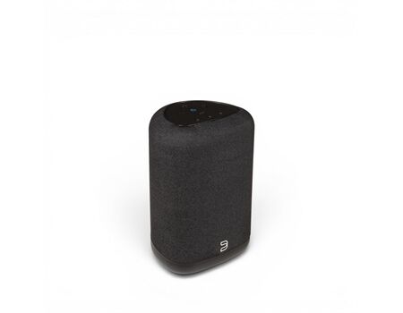 Bluesound Pulse Flex (P130)