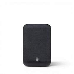 Bluesound Pulse Flex (P130) Alle Farben