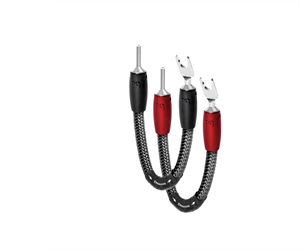 Audioquest Bi-Wire Jumpers Dragon /4er Set Alle Varianten