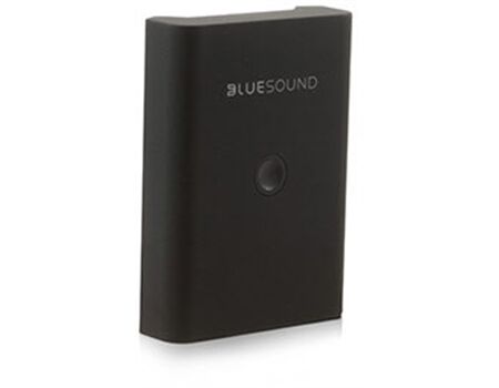 Bluesound WM 100 Wandhalter für Pulse Flex