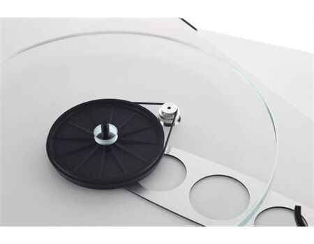 Rega Planar 3 (ohne System)