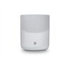Bluesound Pulse M (P230)