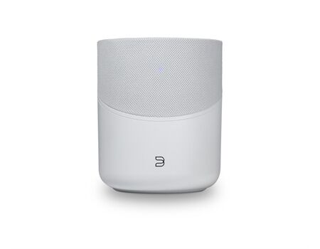 Bluesound Pulse M (P230)